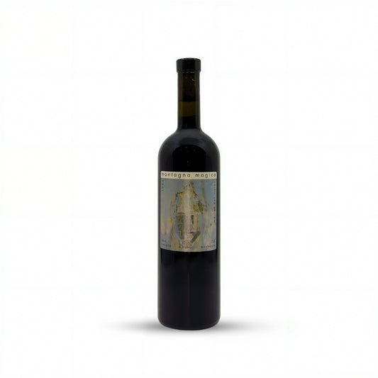 Montagna Magica 1996 – Daniel Huber