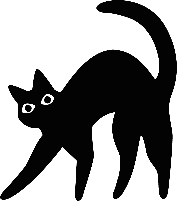 Kellerkatze